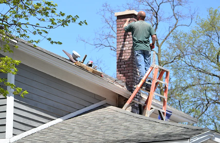 Chimney & Fireplace Inspections Services in Sherrelwood, CO